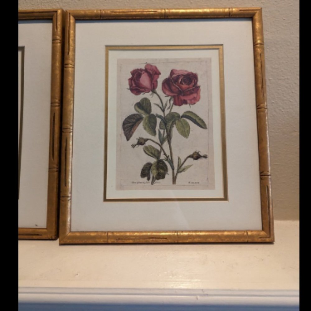 6"x9" Original Nicolas Robert Print French Artist 1600s Antique Fine Art